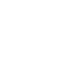 indiba_facial_icono